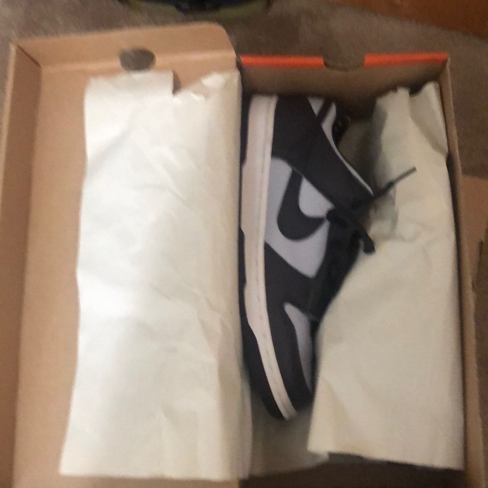 Women’s Nike sink low pro